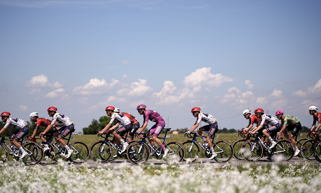 Epic Final Surge! Vingegaard’s 800m Devastating Attack Seizes Giro d’Italia Stage 9 atop Corno alle Scale