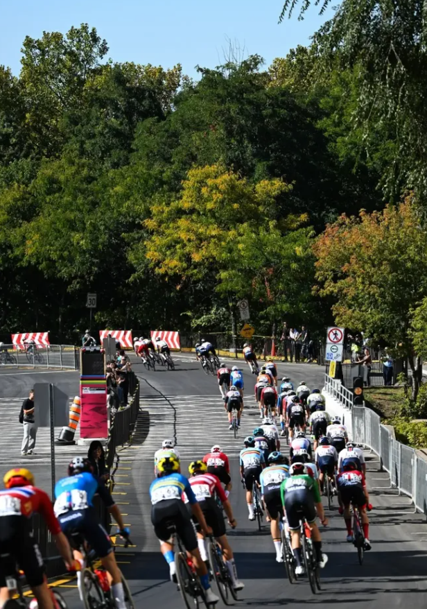 UCI Road World championship
