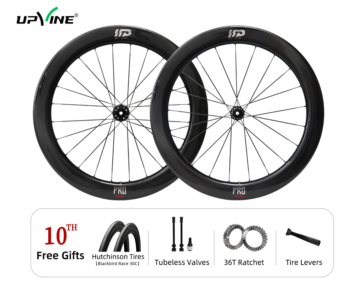 Pro Plus Disc Wheelset